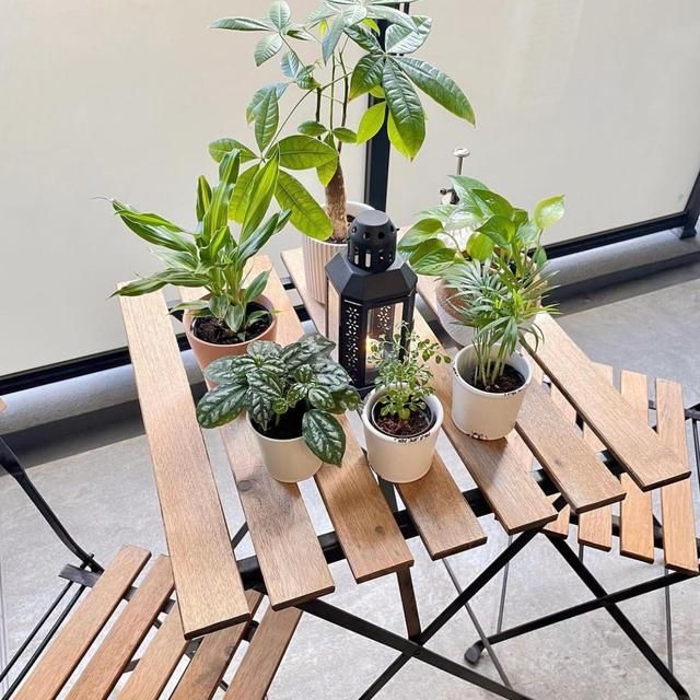 36 tuổi, người phụ nữ sống một mình trong căn hộ 32m²: Không kết hôn, không con cái nhưng cuộc sống khiến nhiều người ao ước - Ảnh 13.