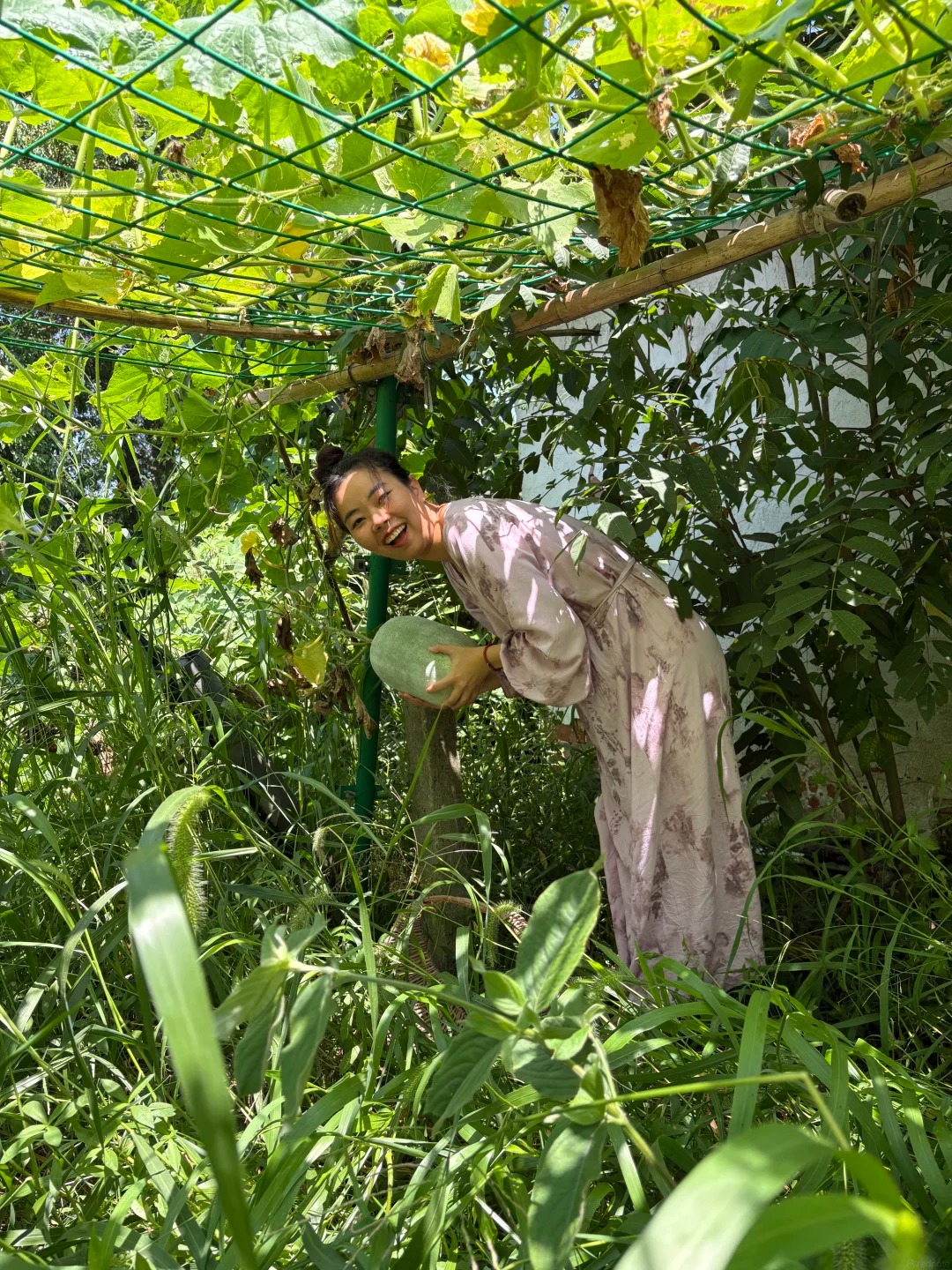 Chuyển ra ngoại thành thuê nhà 10 năm: Vợ chồng tiết kiệm 116 triệu/ năm, ăn rau sạch tự trồng, vào thành phố chỉ mất 10 phút- Ảnh 5.