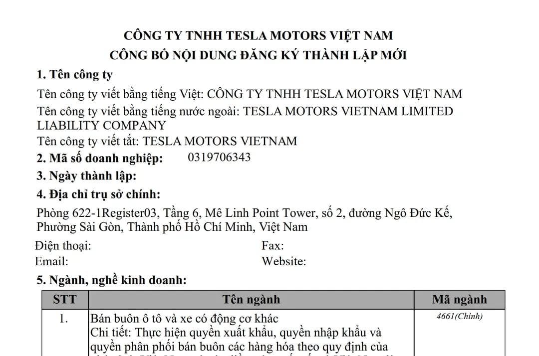 Đây là dàn lãnh đạo đứng sau Tesla Việt Nam: Người từng làm ở Bộ Thương mại Mỹ, người có 19 năm làm việc ở Apple, từng tham gia mở loạt thị trường châu Á- Ảnh 1.