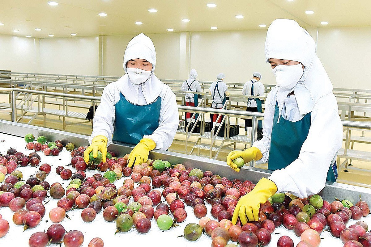 Việt Nam có loại quả 