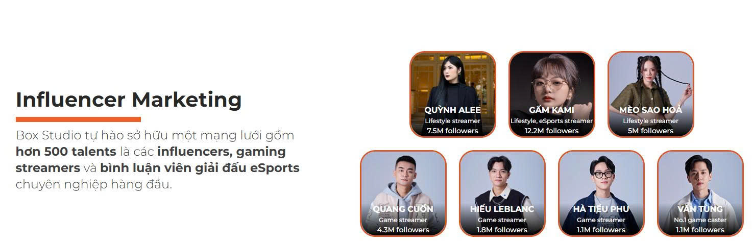 Truy nã CEO Box Việt Nam - Ảnh 2.