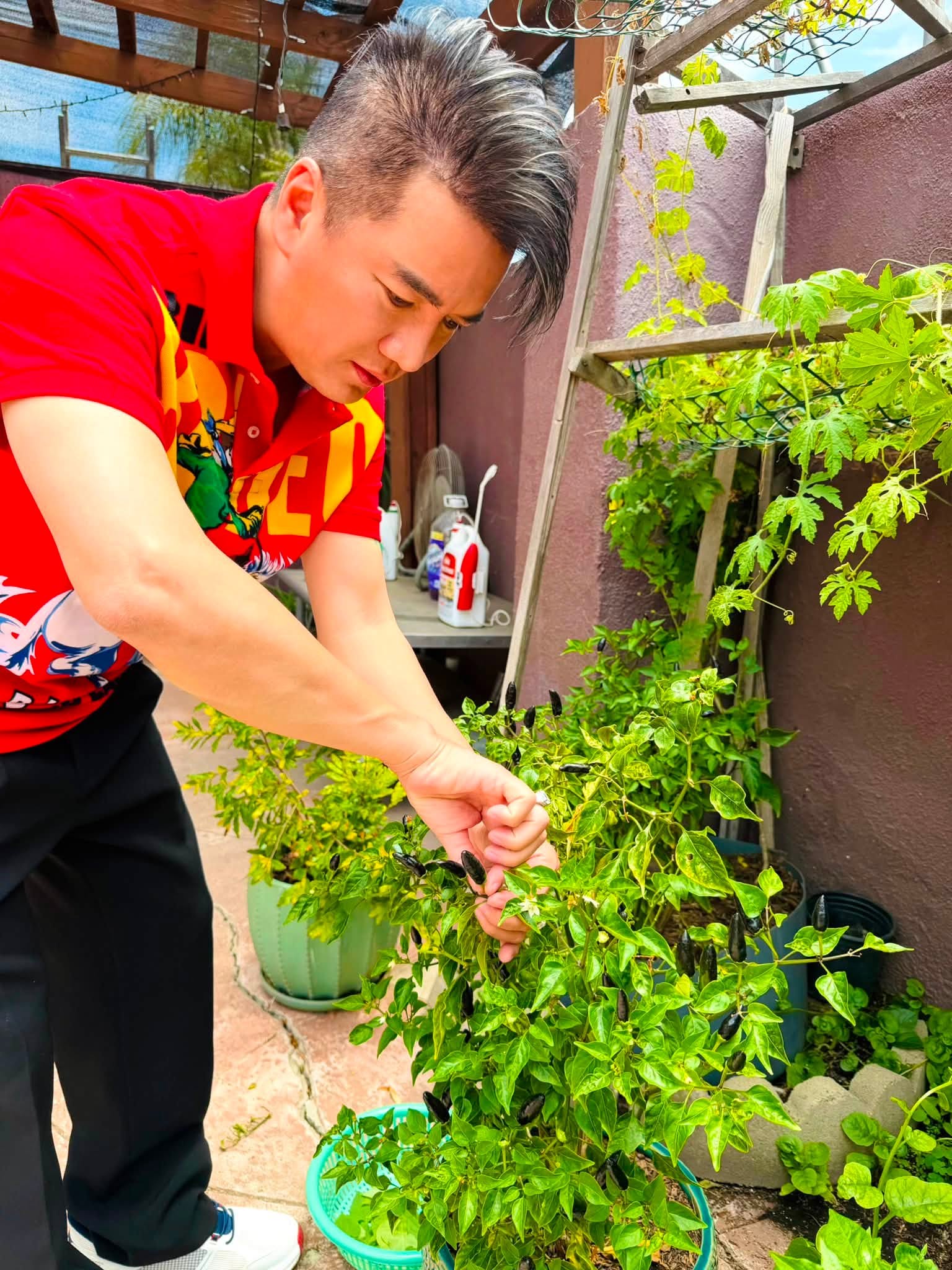 Tình trạng sức khỏe đáng lo của "ông hoàng nhạc Việt" đình đám một thời- Ảnh 1. Tình trạng sức khỏe đáng lo của "ông hoàng nhạc Việt" đình đám một thời- Ảnh 1.