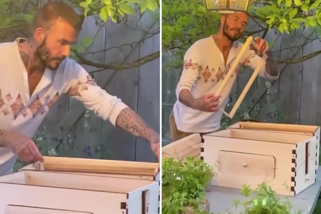 Toàn cảnh khu đất 100.000m2 là trang trại nuôi gà của David Beckham- Ảnh 11.
