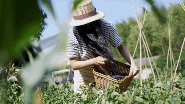 39 tuổi rời thành phố về quê, người phụ nữ tiết lộ mức chi tiêu gây bất ngờ: Muốn dư tiền, đôi khi không cần kiếm thêm - Ảnh 12.
