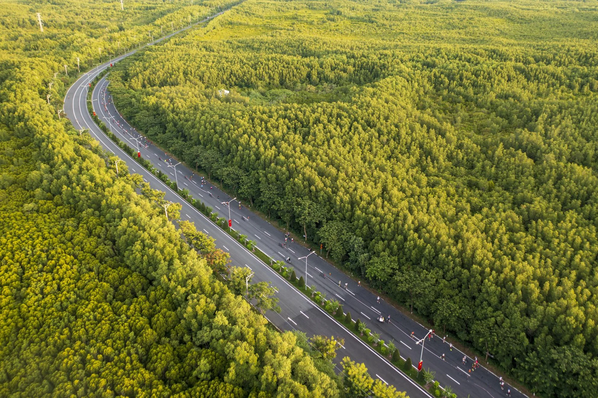 Ông Phạm Nhật Vượng đề xuất nâng cấp 1 con đường hơn 35 km, xuyên rừng ngập mặn được UNESCO công nhận: Đầu tư 19.000 tỷ đồng, nối thẳng tới siêu đô thị lấn biển của Nam Bộ - Ảnh 1.