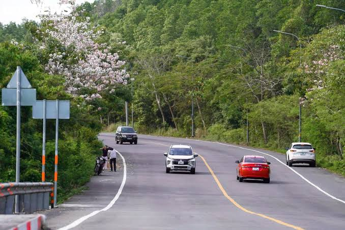 Ông Phạm Nhật Vượng đề xuất nâng cấp 1 con đường hơn 35 km, xuyên rừng ngập mặn được UNESCO công nhận: Đầu tư 19.000 tỷ đồng, nối thẳng tới siêu đô thị lấn biển của Nam Bộ - Ảnh 3.