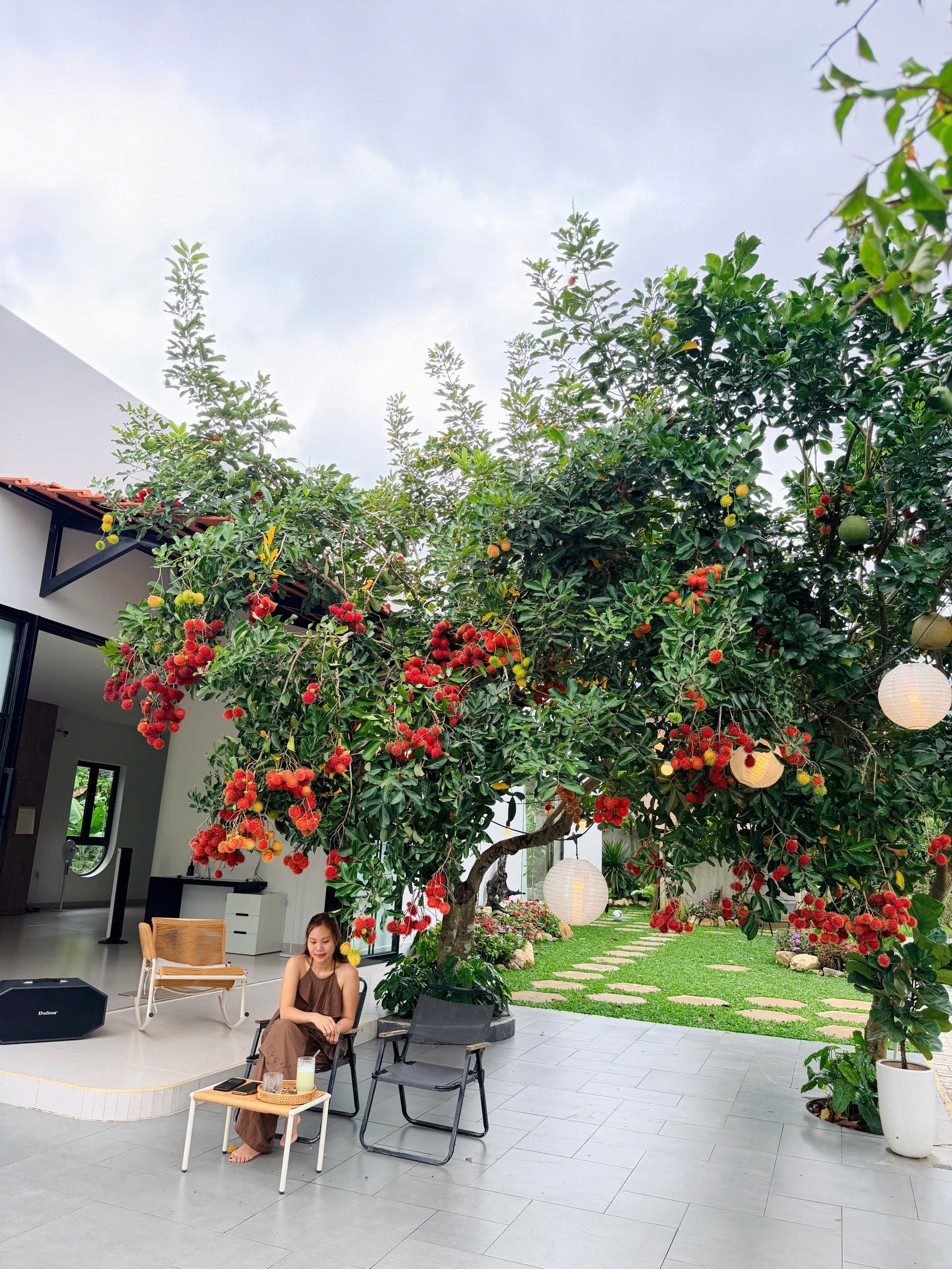 Chi 80 triệu mua nệm, sofa và bàn cà phê, dành 300m2 đất làm sân cỏ, trồng hoa: Người trẻ biến nhà thành nơi nghỉ dưỡng xịn nhất- Ảnh 12.