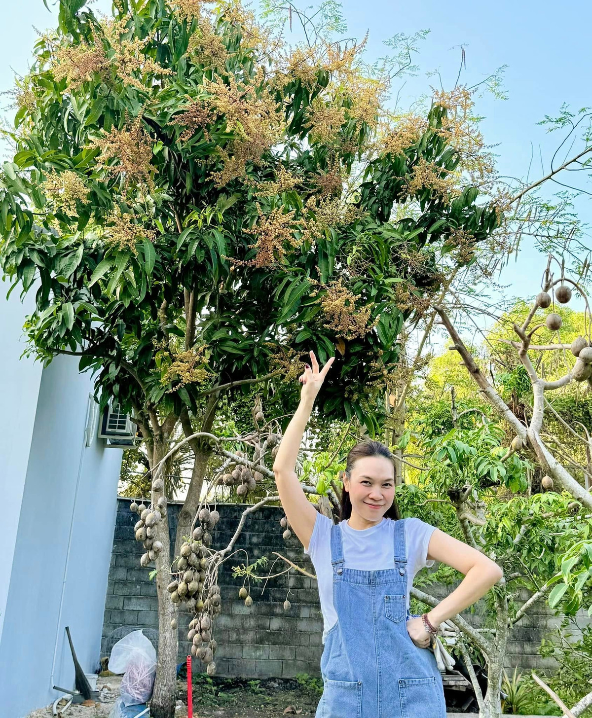 Vườn nhà nghìn mét vuông của Mỹ Tâm- Ảnh 12.