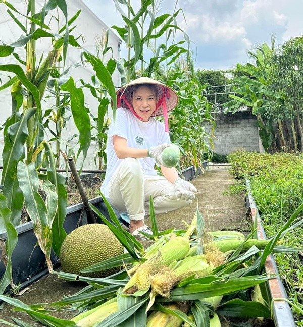 Vườn nhà nghìn mét vuông của Mỹ Tâm- Ảnh 5.