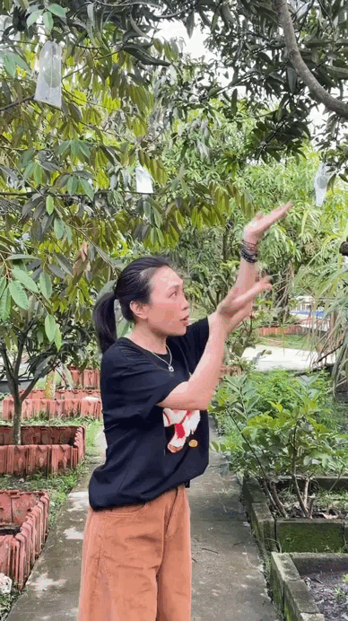 Vườn nhà nghìn mét vuông của Mỹ Tâm- Ảnh 1.