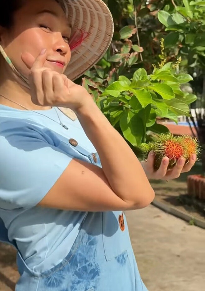 Vườn nhà nghìn mét vuông của Mỹ Tâm- Ảnh 9.