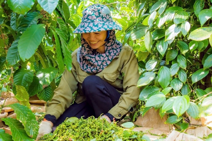 Khi nào thị trường tài sản mã hóa vận hành, loại tài sản nào được giao dịch?- Ảnh 3.
