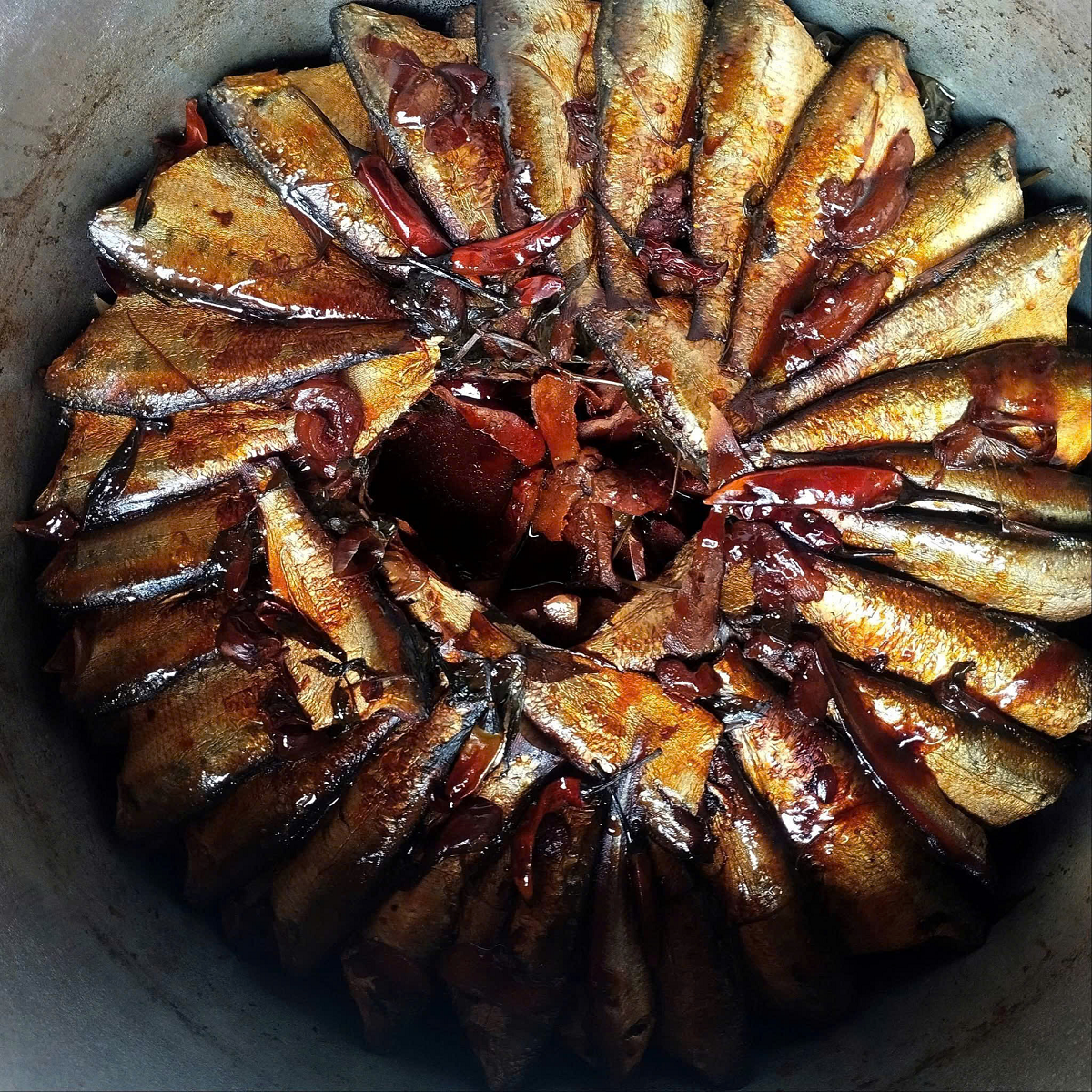 Mỹ gọi tên loài cá "tốt bậc nhất thế giới", hóa ra ở chợ Việt bán đầy - Ảnh 1.