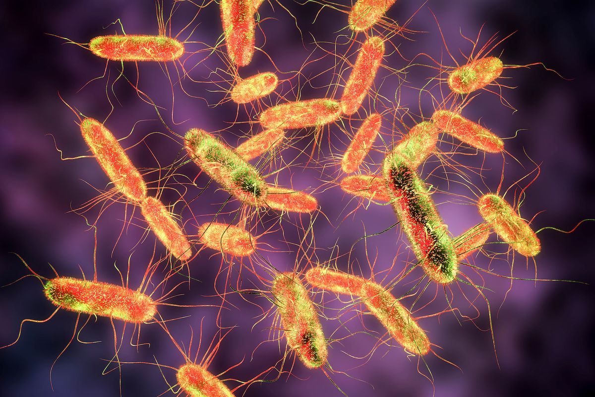 6 thứ trong bếp có thể chứa vi khuẩn Salmonella: Có loại nằm ngay trên kệ gia vị- Ảnh 3.