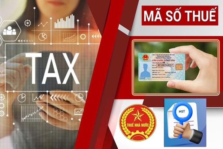 Sau khi được cấp mã số thuế, cần làm gì để tránh phát sinh tiền nộp chậm?- Ảnh 1.
