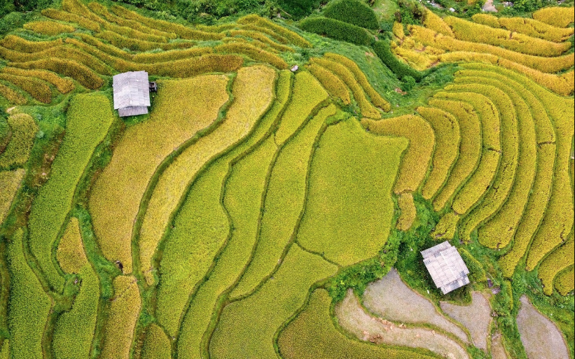 Việt Nam có “tòa tháp xanh 121 tầng” giữa núi: Không xây bằng bê tông, nằm ở điểm đến hàng triệu khách mỗi năm