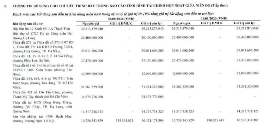 Doanh nghiệp truyền thông Clever Group ‘mê’ biệt thự, đất nền- Ảnh 1.