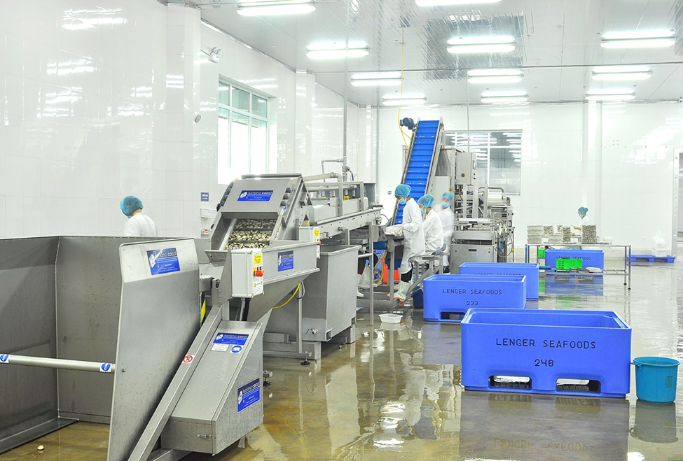 Tập đoàn Hà Lan bán nhà máy chế biến nghêu rộng 5 ha tại Ninh Bình: Công suất 300 tấn/ngày, doanh thu hơn 500 tỷ đồng/năm - Ảnh 2.