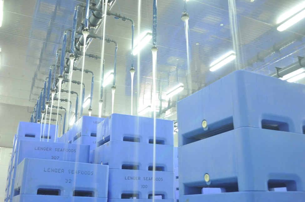 Tập đoàn Hà Lan bán nhà máy chế biến nghêu rộng 5 ha tại Ninh Bình: Công suất 300 tấn/ngày, doanh thu hơn 500 tỷ đồng/năm - Ảnh 3.