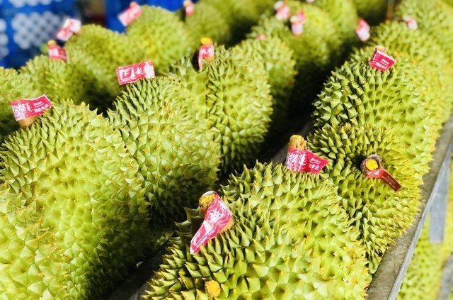 Đối thủ Việt Nam xuất khẩu sầu riêng theo cách chưa từng có: Cho 2 tấn trái cây đi tàu biển tới Trung Quốc, bên trong container có công nghệ đặc biệt- Ảnh 2.