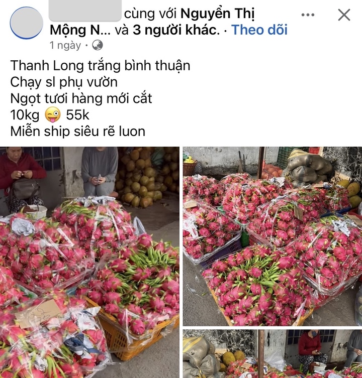 Thanh long rớt giá thảm, khi thị trường lớn không còn ‘gánh’ nguồn cung - Ảnh 6.