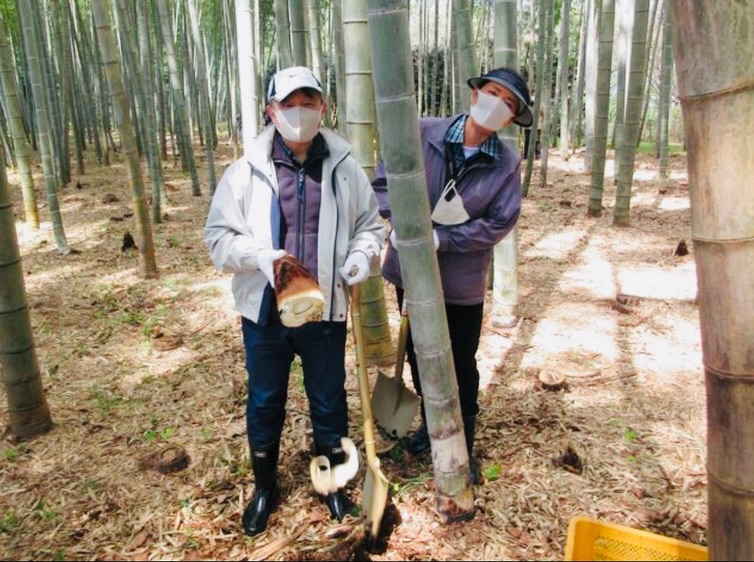 Hình ảnh cũ của Công chúa Aiko bị "đào lại" - Ảnh 4.