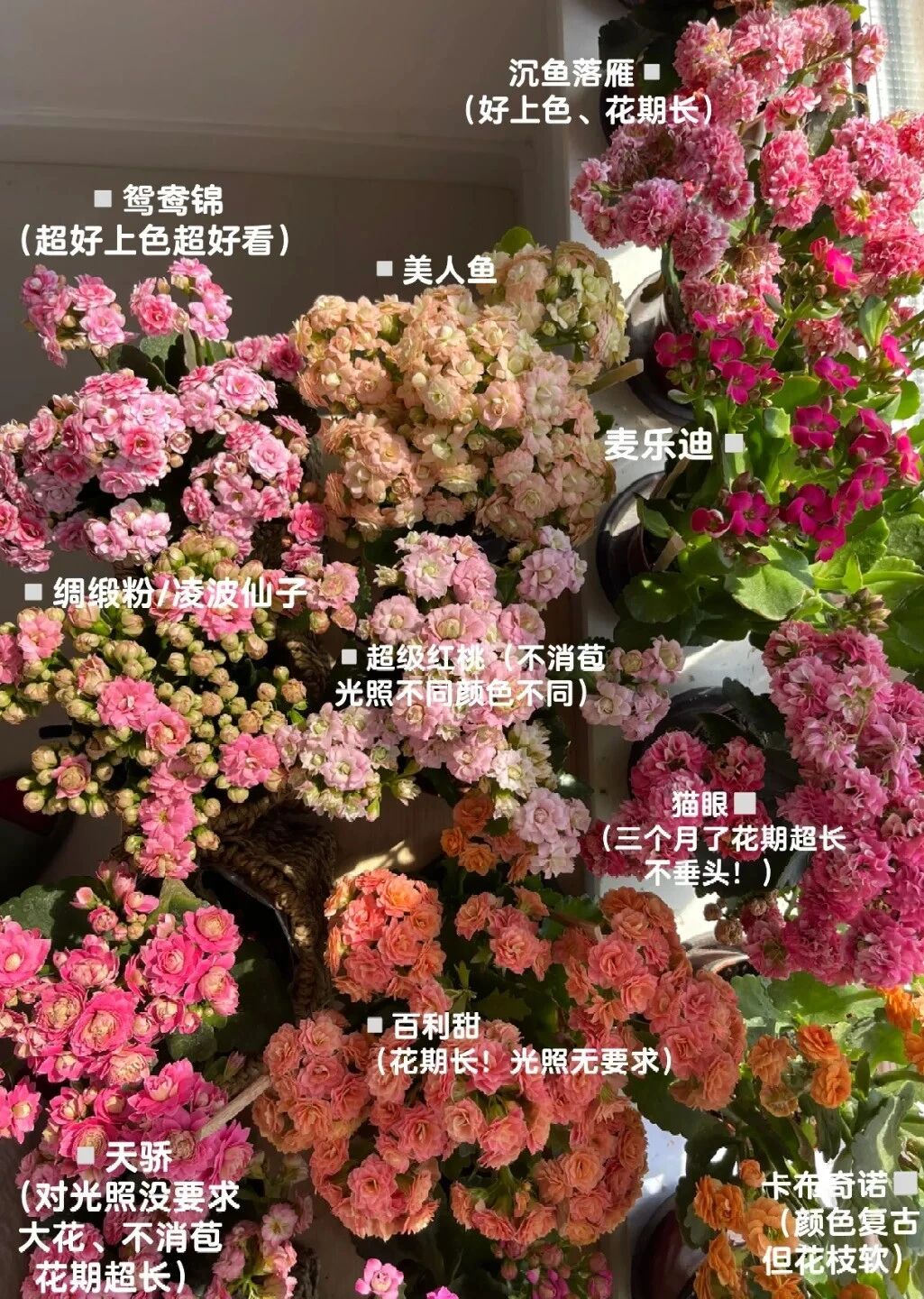 Căn nhà nhỏ ôm trọn tuổi già của cụ bà 92 tuổi: Bình yên, tự tại và chẳng muốn làm phiền con cháu - Ảnh 7.