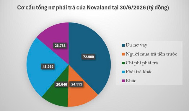 Novaland: Dự án xếp hàng chờ triển khai, doanh nghiệp vẫn tính đường xoay
vốn từ cổ đông để trả nợ - Ảnh
2.