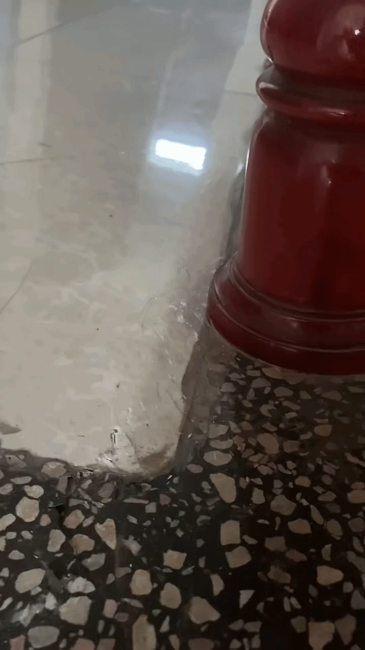 Lời khuyên cho những gia đình có gạch lát nền bị phồng rộp, nứt vỡ- Ảnh 1.