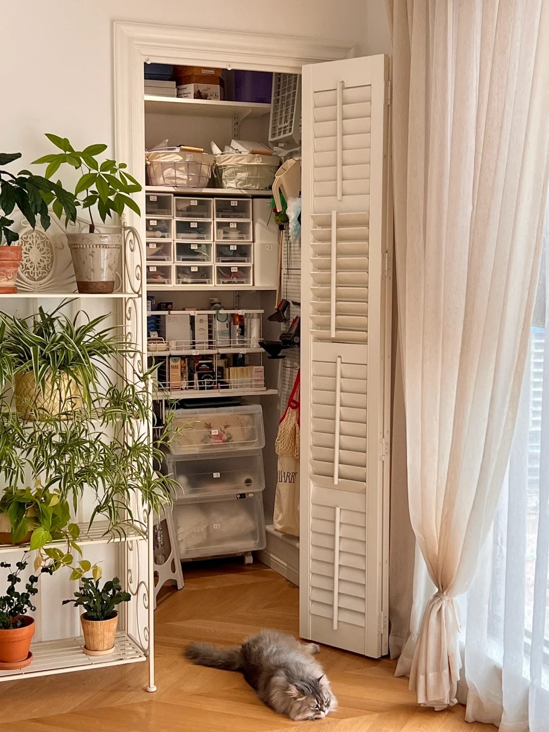 36 tuổi, độc thân và sống một mình trong căn hộ 150m²: Ngôi nhà khiến nhiều người nhận ra ở một mình vẫn có thể rất đủ đầy- Ảnh 15.