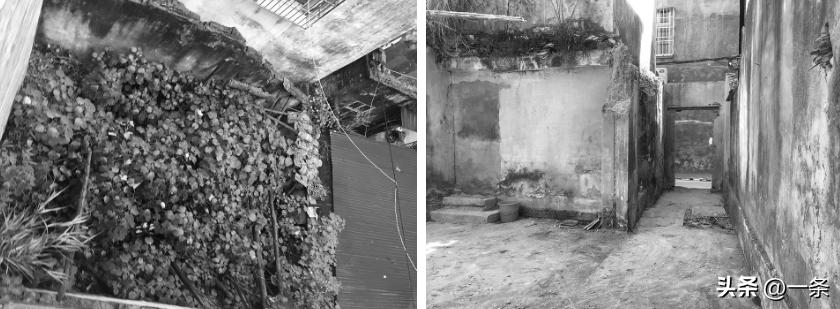 3 anh chị em thừa kế căn nhà tổ chỉ 44m², cải tạo thành nơi đủ rộng để 3 thế hệ có thể cùng chung sống- Ảnh 3.
