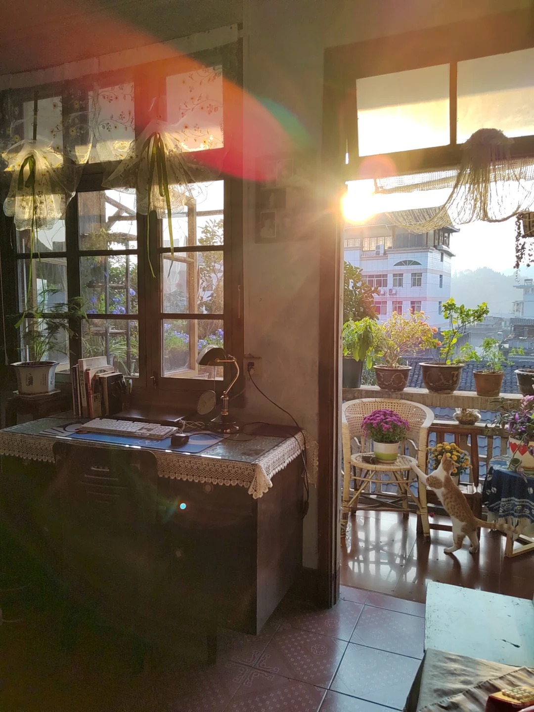 Người phụ nữ 60 tuổi sống một mình trong căn nhà hơn 40 năm: Bước vào bên trong mới hiểu vì sao bà không muốn sửa sang- Ảnh 9.