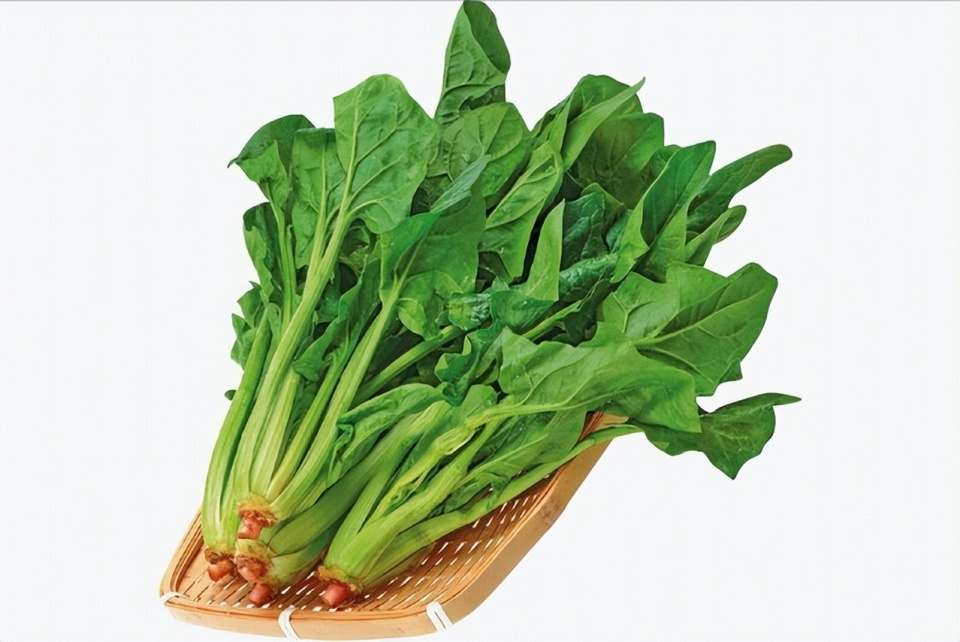 Cuối tháng 9, tranh thủ ăn loại rau này: Giàu folate, nhiều chất xơ, giá bình dân, rất hợp cho những ngày hanh khô - Ảnh 1.