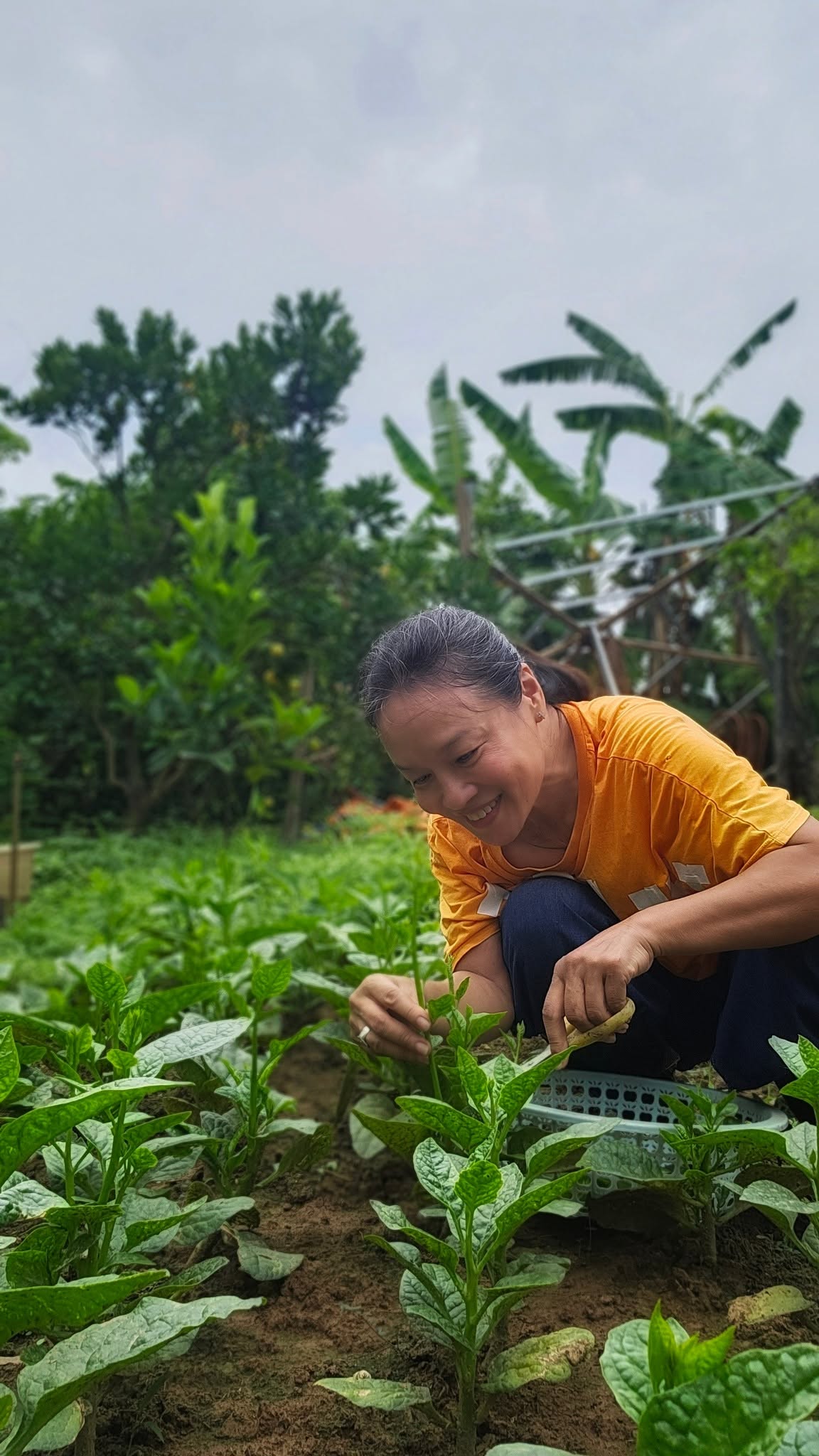 Nữ nghệ sĩ Việt nhận lương hưu gần 7 triệu đồng/tháng, sở hữu khu vườn rộng 4.000m² ven sông Hồng- Ảnh 6.