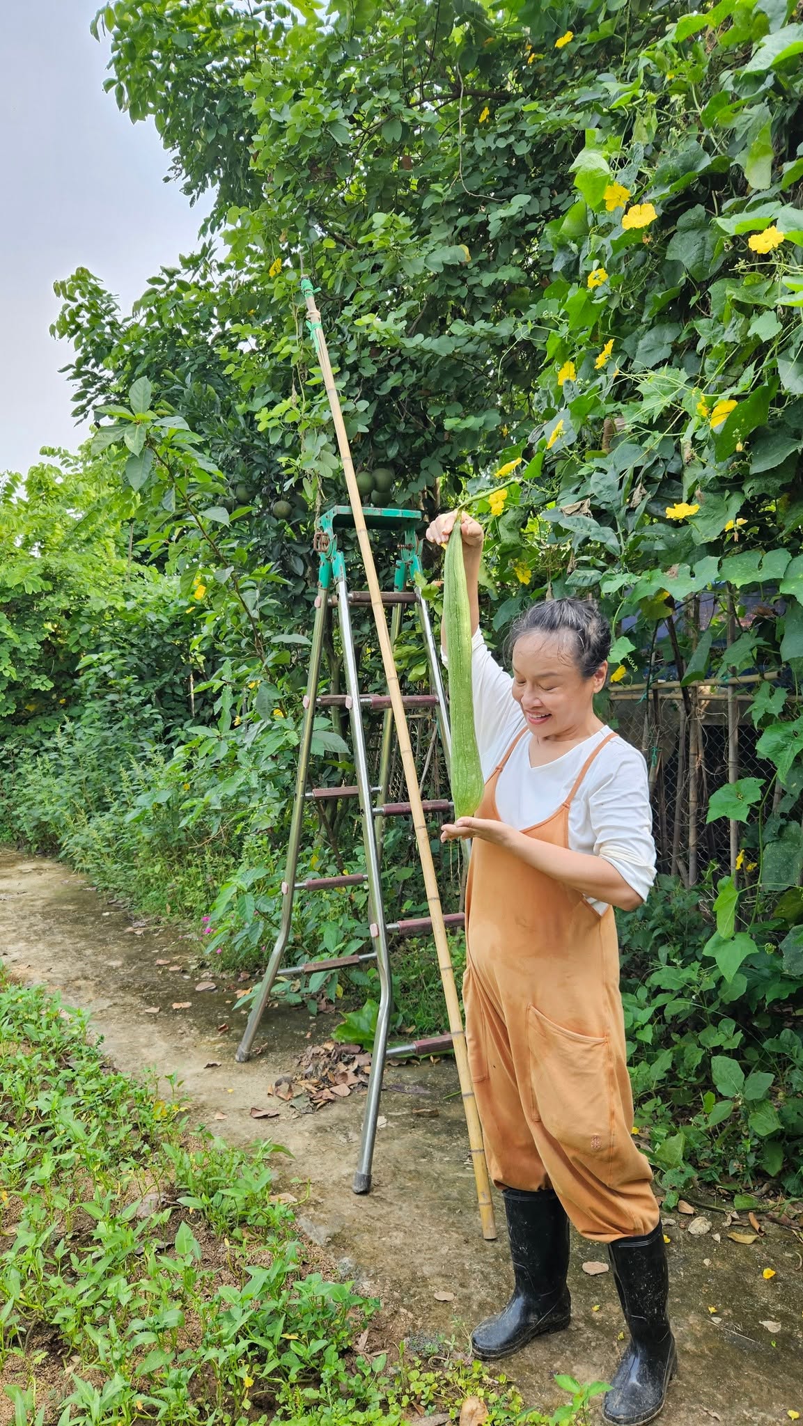 Nữ nghệ sĩ Việt nhận lương hưu gần 7 triệu đồng/tháng, sở hữu khu vườn rộng 4.000m² ven sông Hồng- Ảnh 7.