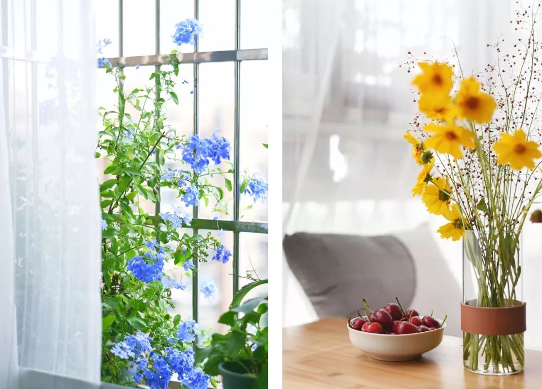 Thuê nhà 15,8 triệu/tháng, cô gái chi hơn 46 triệu cải tạo: 30s có thể chưa mua nhà nhưng phải ở nhà đẹp- Ảnh 5.