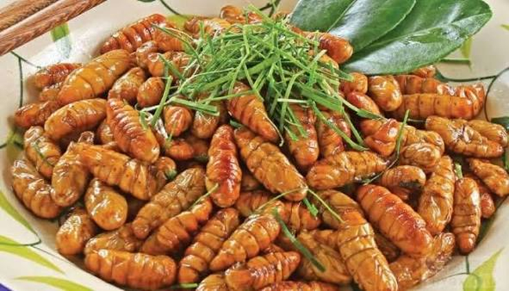 Ăn 20 con nhộng tằm, người đàn ông 41 tuổi suy đa tạng, suýt mất mạng- Ảnh 2.