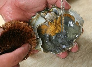 Thích ăn cua đến mấy cũng nên bỏ bộ phận này - Ảnh 2.