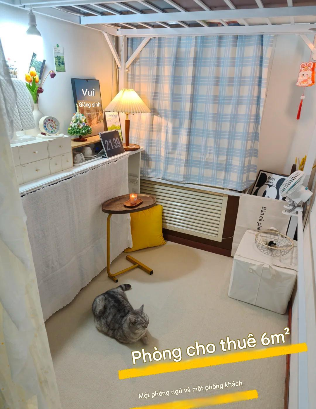 Phát hiện phòng trọ 6m² có 1 phòng ngủ 1 phòng khách- Ảnh 1.