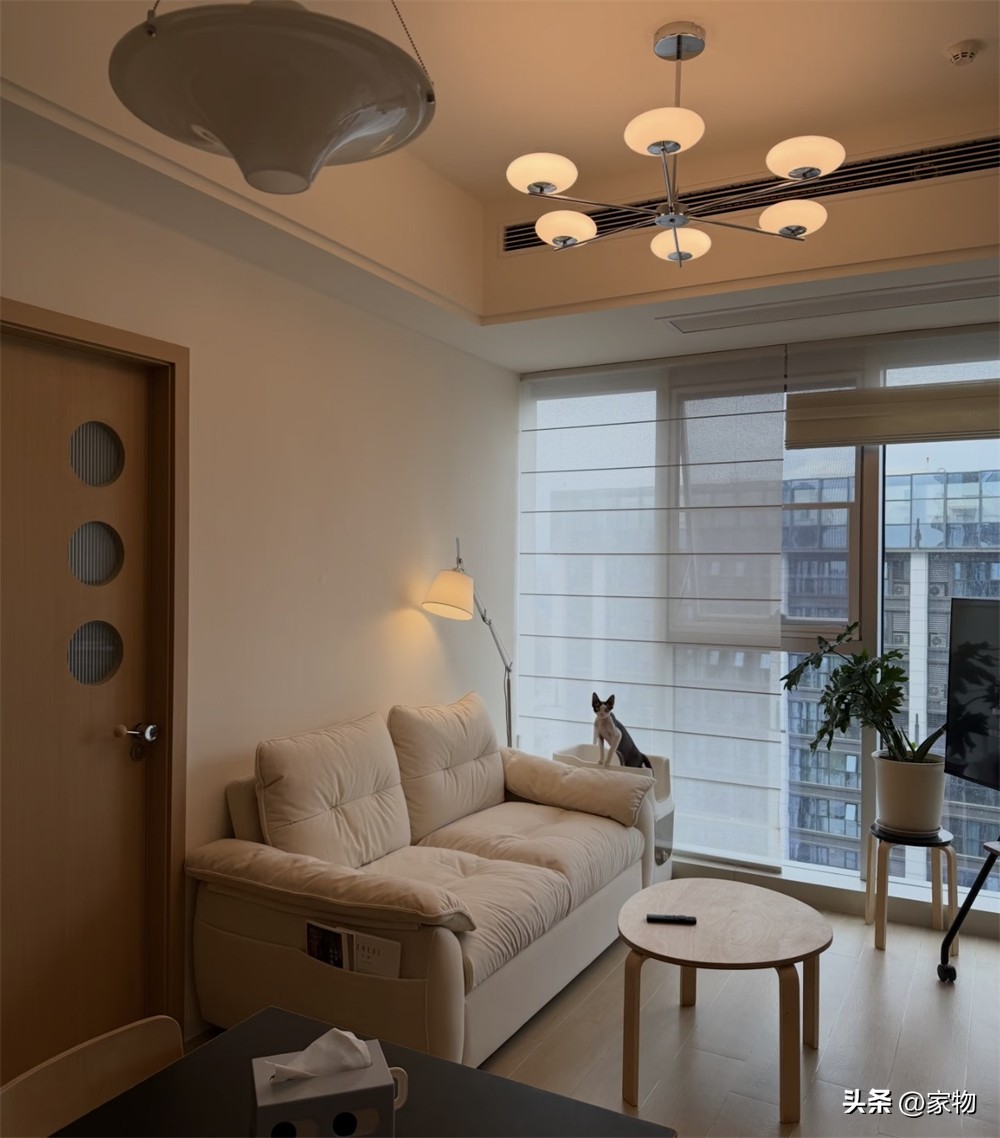 Từng là kiểu nhà người trẻ đổ xô mua, căn hộ độc thân giờ dần mất sức hút: 6 lý do sống lâu mới thấm- Ảnh 2.