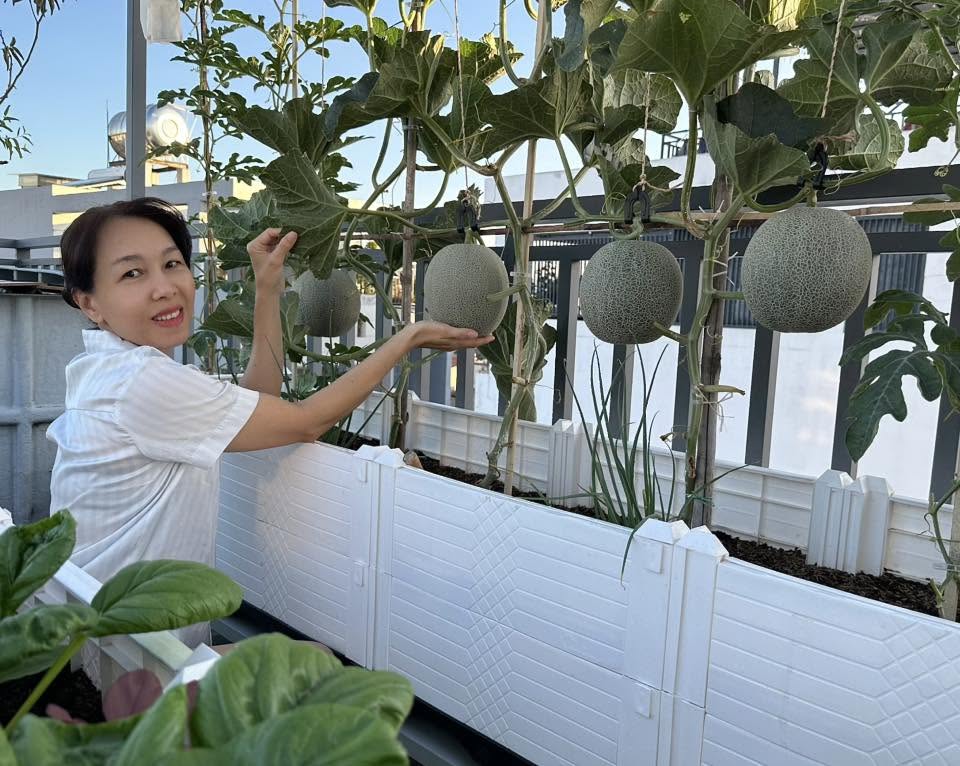 Khu vườn 40m² trên sân thượng ở TP.HCM: Rau xanh ăn quanh năm, chiều nào gia chủ cũng lên “xả stress”- Ảnh 19.