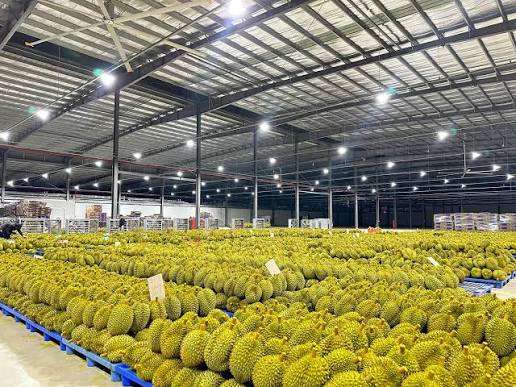 Năm 2026, Việt Nam sẽ ghi nhận một kỷ lục mới, là gì vậy? - Ảnh 1.