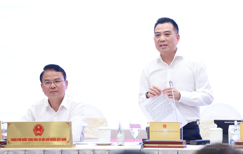 Sầu riêng có thể mang về 4 tỷ USD xuất khẩu năm 2026- Ảnh 1.