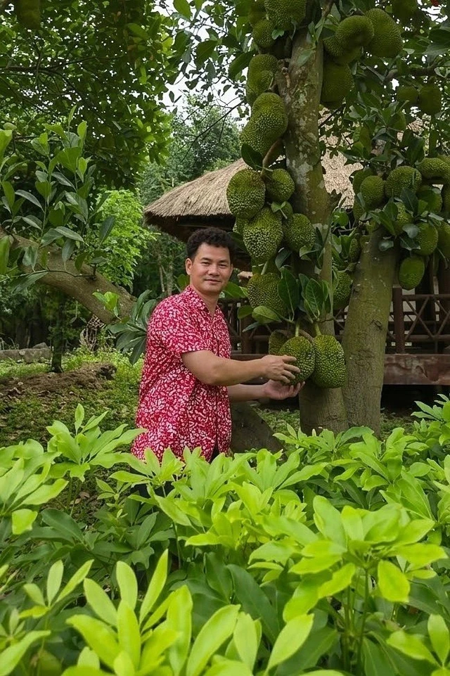 Vườn nhà nghìn mét vuông của NSND Xuân Bắc- Ảnh 12.