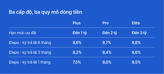 VIB Up: Cho phép chọn Gói nâng hạng phù hợp giúp tiền nhàn rỗi tạo thêm giá trị - Ảnh 2.
