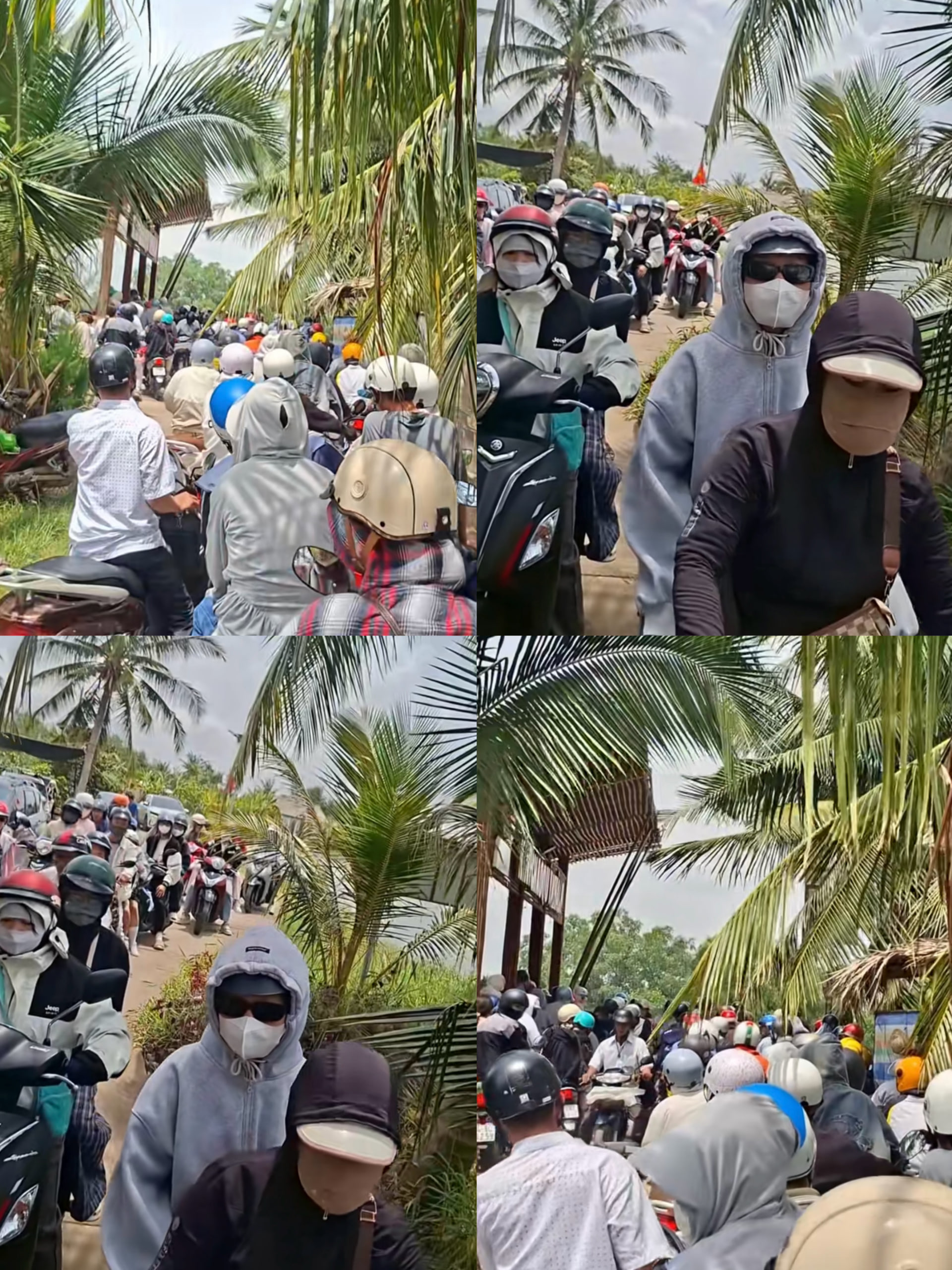 Cồn Chim Trà Vinh đông khách chưa từng có sau “hiệu ứng Phương Mỹ Chi”, người dân dậy từ 3 giờ sáng chuẩn bị đón khách- Ảnh 2.