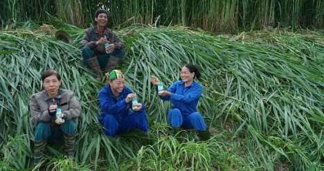Sữa Tươi Kun: Mô hình chuỗi liên kết trong chăn nuôi bò sữa và hạnh phúc của những người nông dân- Ảnh 3.