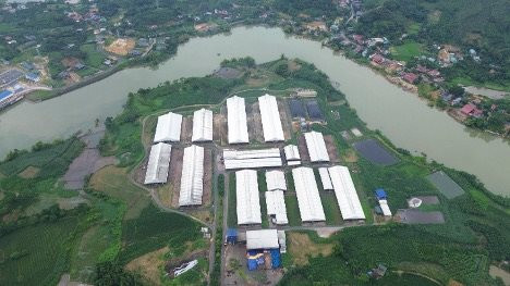 Sữa Tươi Kun: Mô hình chuỗi liên kết trong chăn nuôi bò sữa và hạnh phúc của những người nông dân- Ảnh 1.