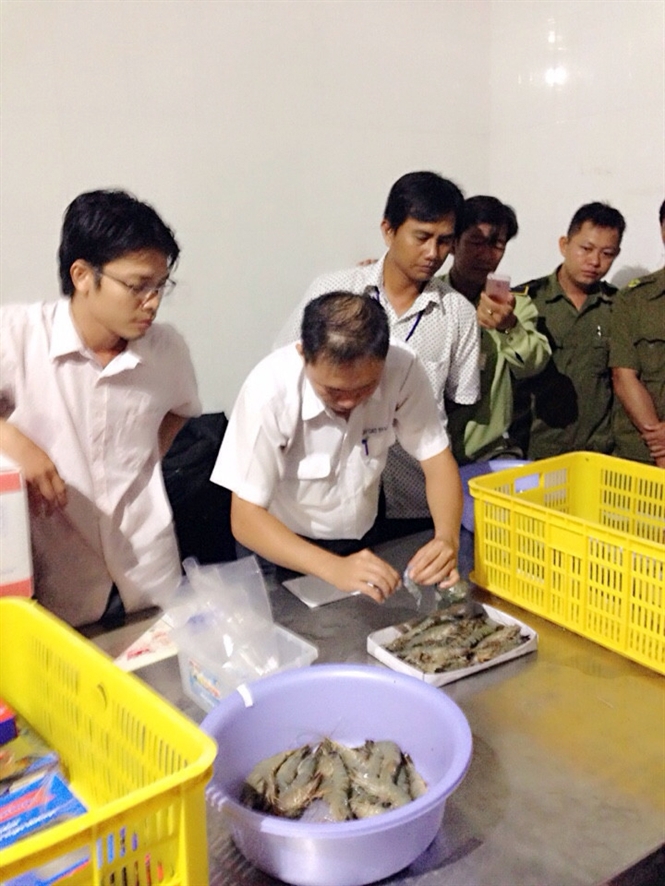 
Cơ quan chuyên ngành kiểm tra và phát hiện mẫu tôm của Cty Quốc Ái có chứa tạp chất
