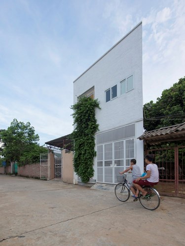 Căn nhà mang tên Binh House với giàn hoa giấy như một bức tường thẳng đứng vô cùng độc đáo thu hút sự chú ý của những người qua đường.